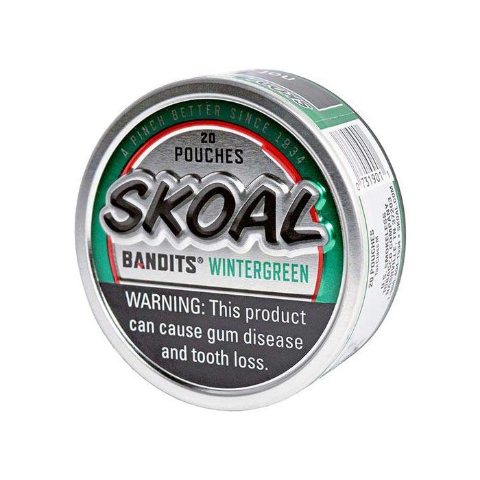 Skoal Bandits Wintergreen Pouches