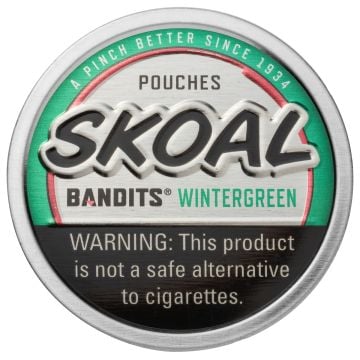 Skoal Bandits Wintergreen Pouches