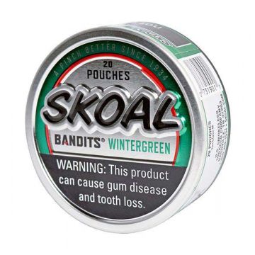Skoal Bandits Wintergreen Pouches
