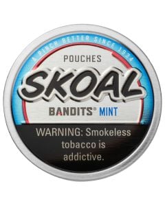 Skoal Bandits Mint Pouches