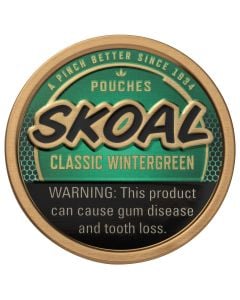 Skoal Wintergreen Pouches