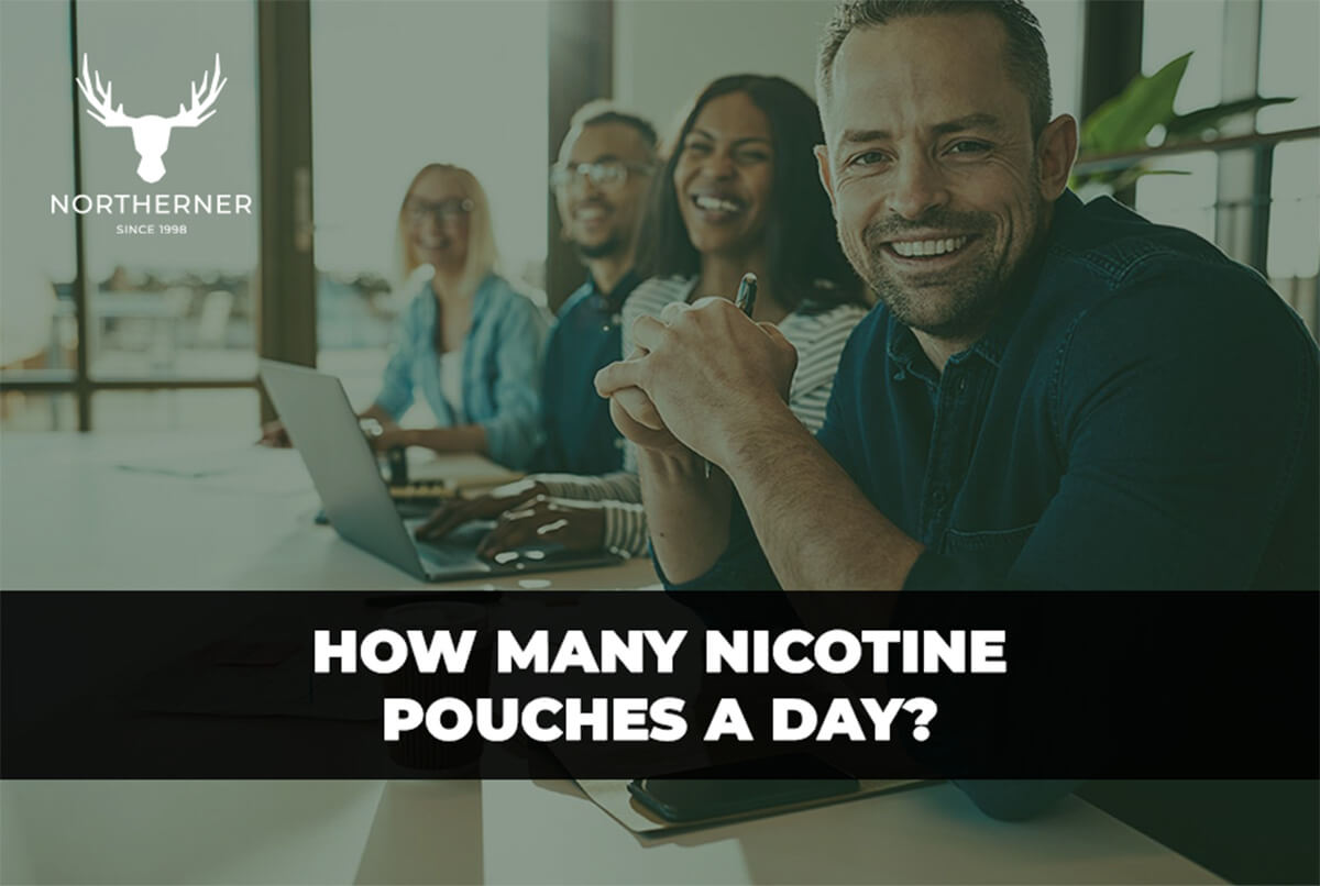 how many nicotine pouches a day?