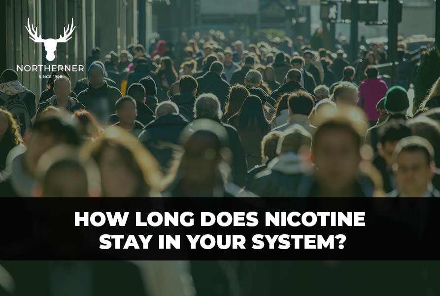 How long does nicotine stay in your system?