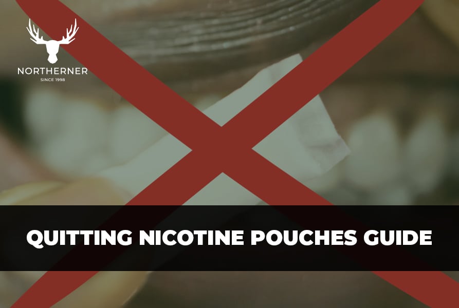 A Quitting Nicotine Pouches Guide