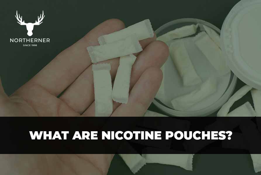 what are nicotine pouches