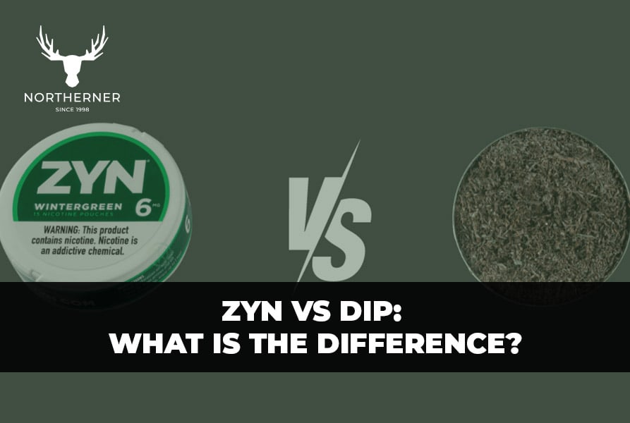 zyn vs dip - what is the difference?