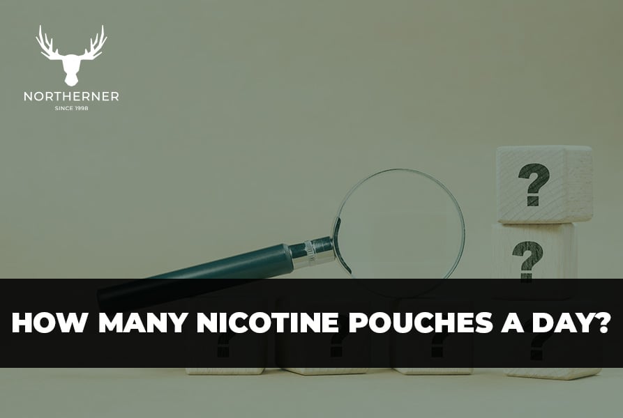 how many nicotine pouches a day