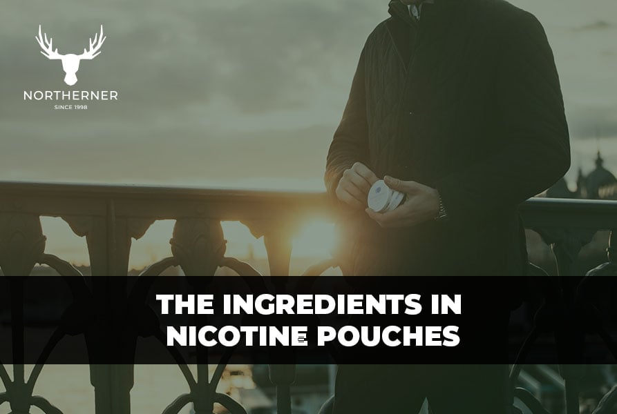 Ingredients in nicotine pouches