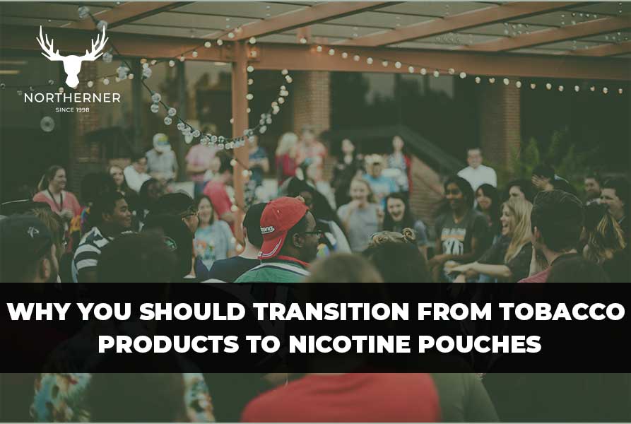 Transition from Tobacco Products to Nicotine Pouches