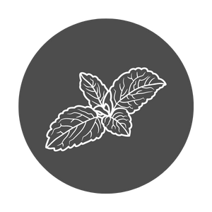 mint flavor icon