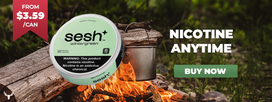 Buy Sesh Nicotine Pouches Online - Fast shipping - Northerner US