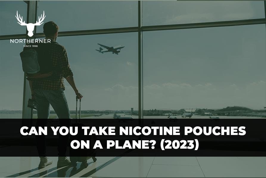 Can You Take Nicotine Pouches on a Plane? (2023)  - Northerner US