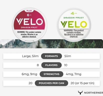 High Level Overview of VELO & VELO Plus