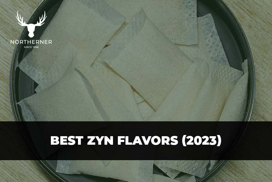 Best ZYN Flavors (2022) - Northerner US